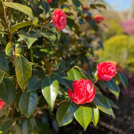 Cote Jardin