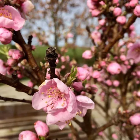 Hébergement de vacances Cote Jardin Vannecrocq