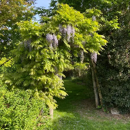 Cote Jardin Hébergement de vacances Vannecrocq